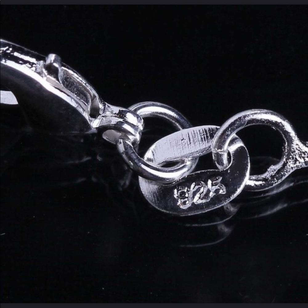 DO NOT PURCHASE ITS FOR SBJORNSSTERLING SILVER NECKLACE - Picture 3 of 6